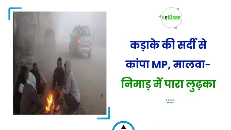 कड़ाके की सर्दी से कांपा MP, मालवा-निमाड़ में पारा लुढ़का