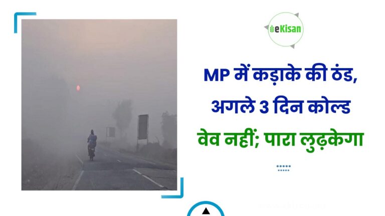 MP में कड़ाके की ठंड, अगले 3 दिन कोल्ड वेव नहीं; पारा लुढ़केगा