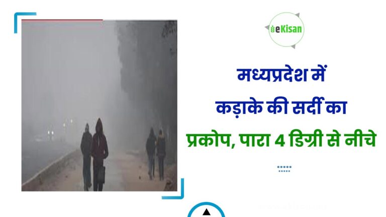 मध्यप्रदेश में कड़ाके की सर्दी का प्रकोप, पारा 4 डिग्री से नीचे