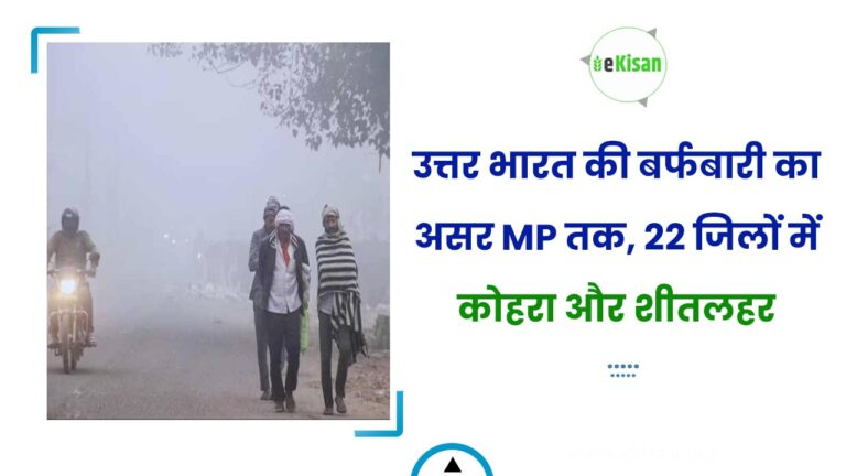 उत्तर भारत की बर्फबारी का असर MP तक, 22 जिलों में कोहरा और शीतलहर