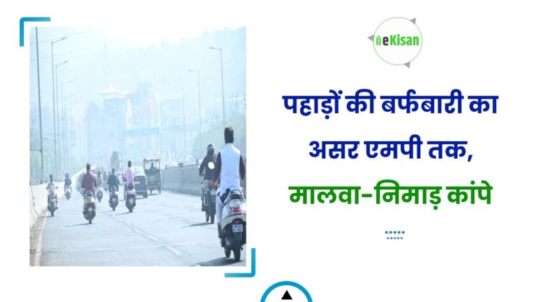 पहाड़ों की बर्फबारी का असर एमपी तक, मालवा-निमाड़ कांपे