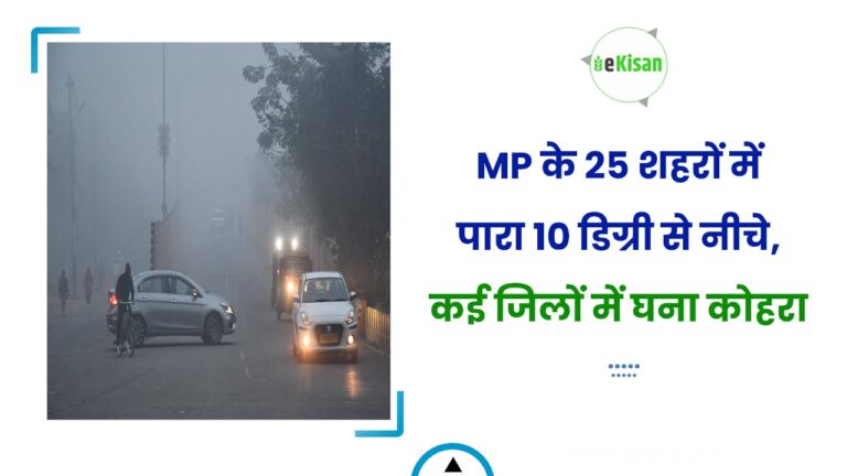 MP के 25 शहरों में पारा 10 डिग्री से नीचे, कई जिलों में घना कोहरा