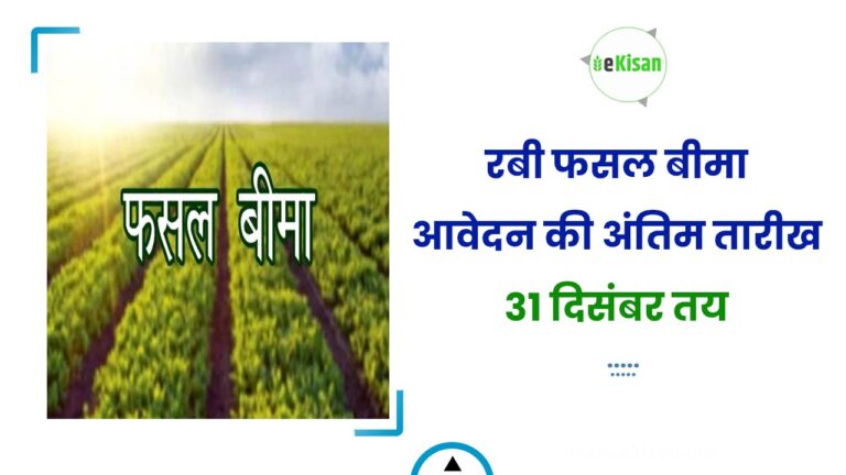 रबी फसल बीमा आवेदन की अंतिम तारीख 31 दिसंबर तय