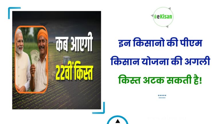 इन किसानो की पीएम किसान योजना की अगली किस्त अटक सकती है!