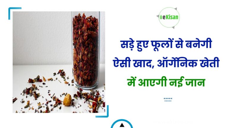 सड़े हुए फूलों से बनेगी ऐसी खाद, ऑर्गेनिक खेती में आएगी नई जान