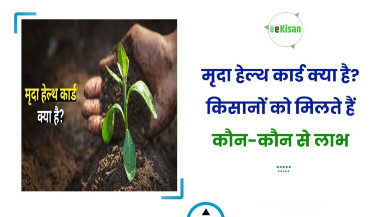 मृदा हेल्थ कार्ड क्या है? किसानों को मिलते हैं कौन-कौन से लाभ