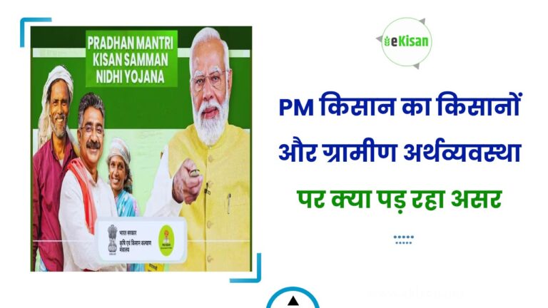 PM किसान का किसानों और ग्रामीण अर्थव्यवस्था पर क्या पड़ रहा असर