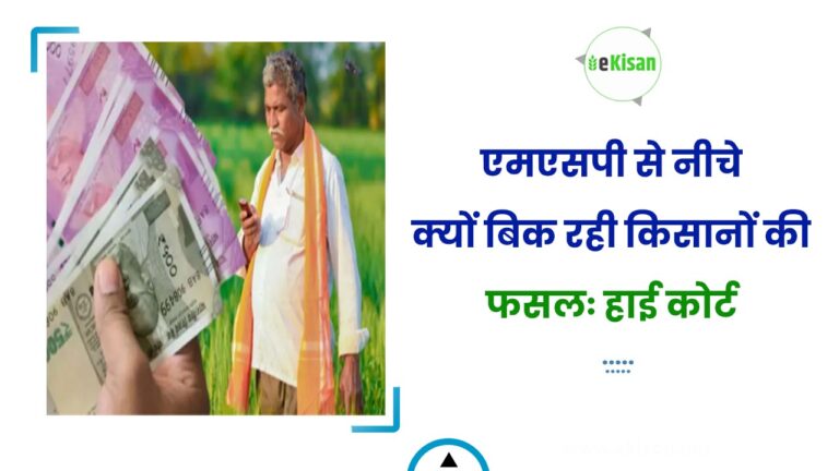 एमएसपी से नीचे क्यों बिक रही किसानों की फसलः हाई कोर्ट