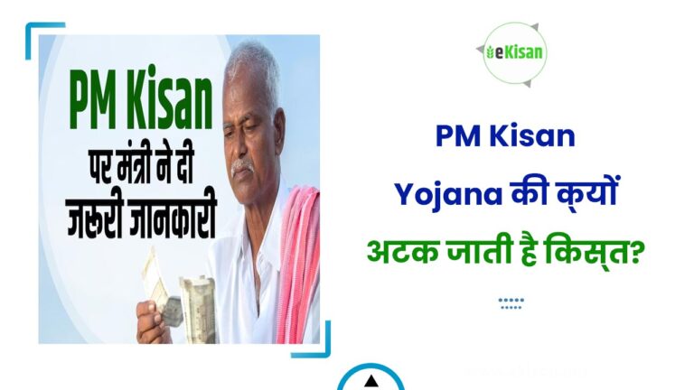 PM Kisan Yojana की क्‍यों अटक जाती है किस्‍त?