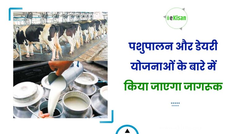 पशुपालन और डेयरी योजनाओं के बारे में किया जाएगा जागरूक