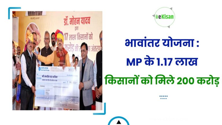 भावांतर याेजना : MP के 1.17 लाख किसानों को मिले 200 करोड़