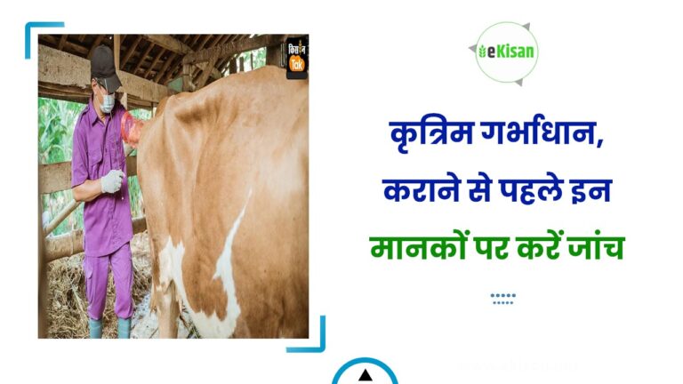 कृत्रिम गर्भाधान, कराने से पहले इन मानकों पर करें जांच