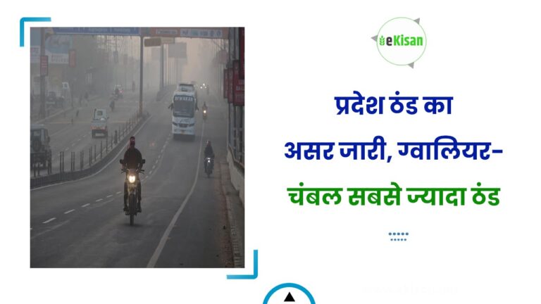 प्रदेश ठंड का असर जारी, ग्वालियर-चंबल सबसे ज्यादा ठंड