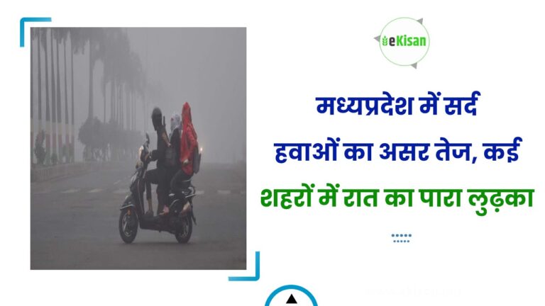 मध्यप्रदेश में सर्द हवाओं का असर तेज, कई शहरों में रात का पारा लुढ़का