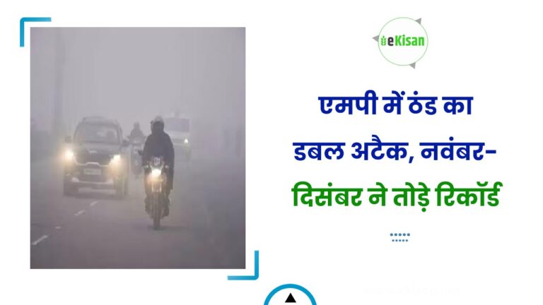 एमपी में ठंड का डबल अटैक, नवंबर-दिसंबर ने तोड़े रिकॉर्ड