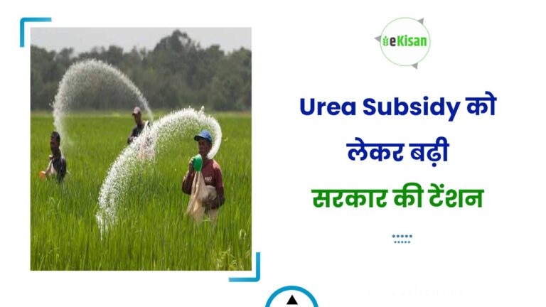 Urea Subsidy को लेकर बढ़ी सरकार की टेंशन