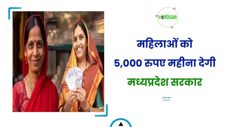 महिलाओं को 5,000 रुपए महीना देगी मध्यप्रदेश सरकार