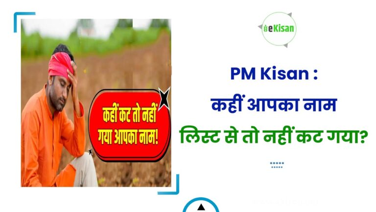 PM Kisan : कहीं आपका नाम लिस्ट से तो नहीं कट गया?