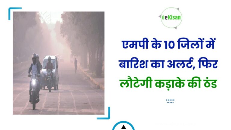 एमपी के 10 जिलों में बारिश का अलर्ट, फिर लौटेगी कड़ाके की ठंड