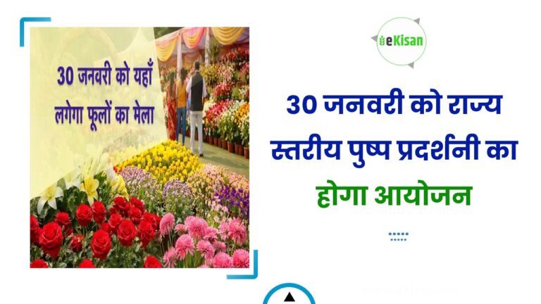 30 जनवरी को राज्य स्तरीय पुष्प प्रदर्शनी का होगा आयोजन