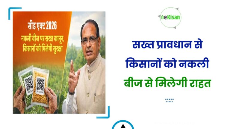 सख्त प्रावधान से किसानों को नकली बीज से मिलेगी राहत