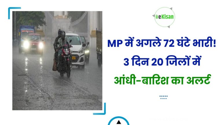 MP में अगले 72 घंटे भारी! 3 दिन 20 जिलों में आंधी-बारिश का अलर्ट