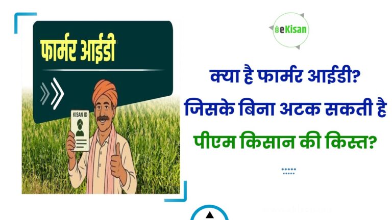 क्या है फार्मर आईडी? जिसके बिना अटक सकती है पीएम किसान की किस्त?