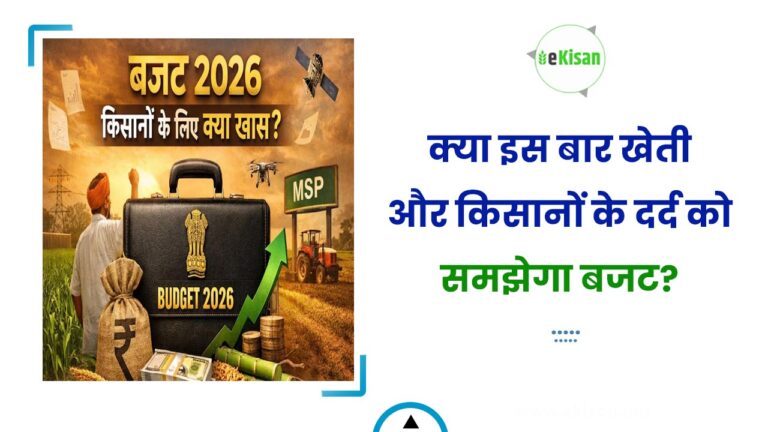 क्या इस बार खेती और किसानों के दर्द को समझेगा बजट?