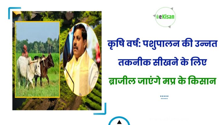कृषि वर्ष: पशुपालन की उन्नत तकनीक सीखने के लिए ब्राजील जाएंगे मप्र के किसान