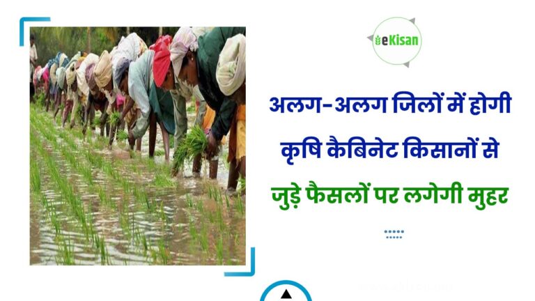अलग-अलग जिलों में होगी कृषि कैबिनेट किसानों से जुड़े फैसलों पर लगेगी मुहर