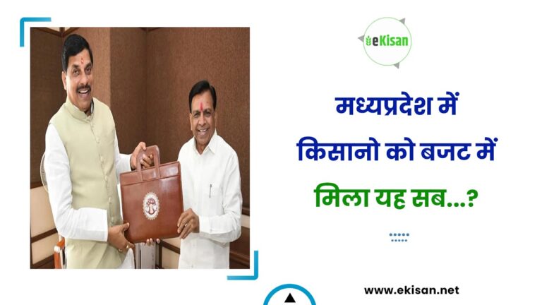 मध्यप्रदेश में किसानो को बजट में मिला यह सब…?