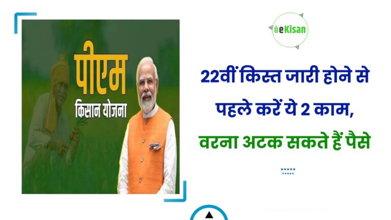 22वीं किस्त जारी होने से पहले करें ये 2 काम, वरना अटक सकते हैं पैसे