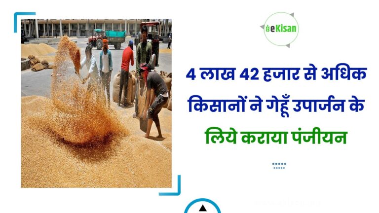 4 लाख 42 हजार से अधिक किसानों ने गेहूँ उपार्जन के लिये कराया पंजीयन