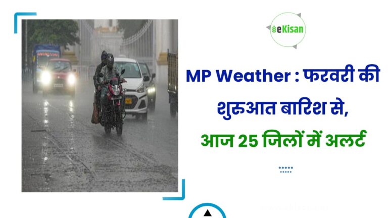 MP Weather : फरवरी की शुरुआत बारिश से, आज 25 जिलों में अलर्ट