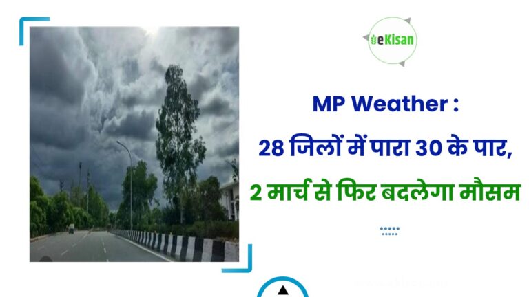 MP Weather : 28 जिलों में पारा 30 के पार, 2 मार्च से फिर बदलेगा मौसम
