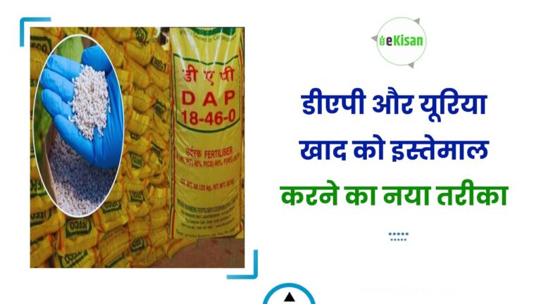 डीएपी और यूरिया खाद को इस्तेमाल करने का नया तरीका