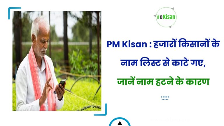 PM Kisan : हजारों किसानों के नाम लिस्ट से काटे गए, जानें नाम हटने के कारण