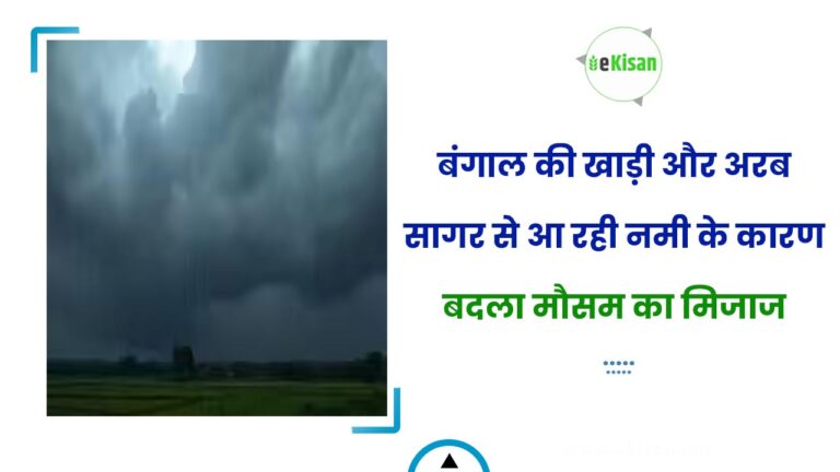 बंगाल की खाड़ी और अरब सागर से आ रही नमी के कारण बदला मौसम का मिजाज