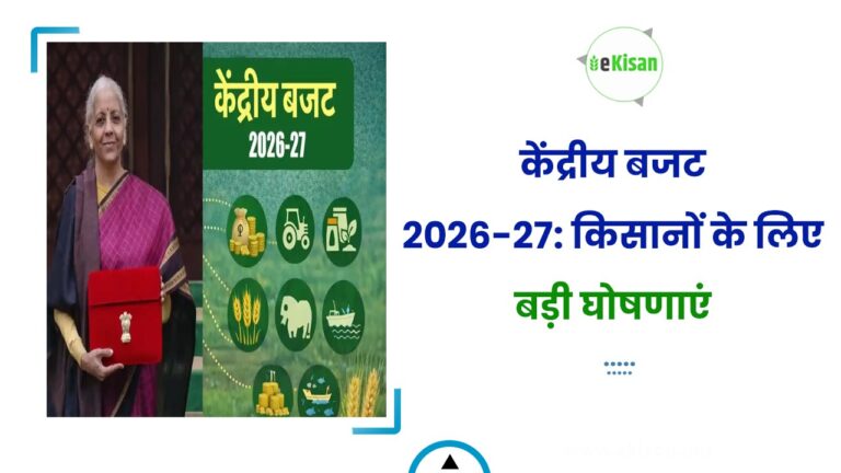 केंद्रीय बजट 2026-27: किसानों के लिए बड़ी घोषणाएं
