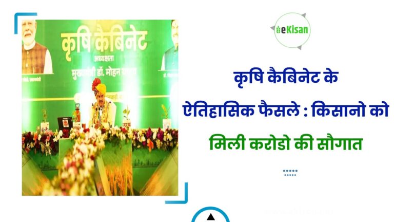 कृषि कैबिनेट के ऐतिहासिक फैसले : किसानो को मिली करोडो की सौगात