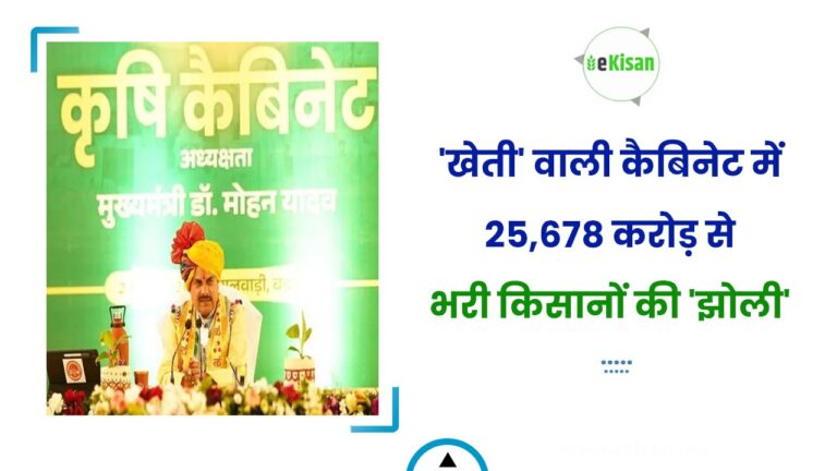 ‘खेती’ वाली कैबिनेट में 25,678 करोड़ से भरी किसानों की ‘झोली’