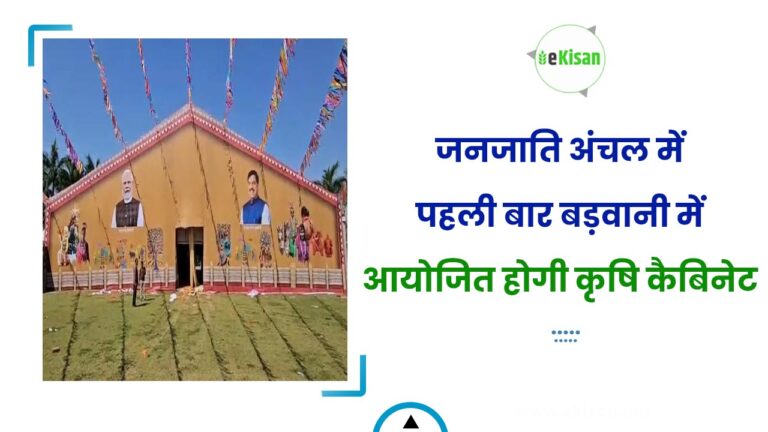 जनजाति अंचल में पहली बार बड़वानी में आयोजित होगी कृषि कैबिनेट