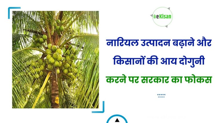 नारियल उत्पादन बढ़ाने और किसानों की आय दोगुनी करने पर सरकार का फोकस