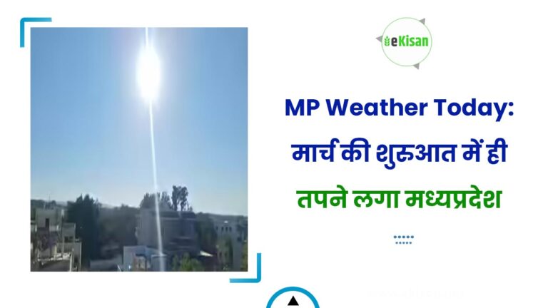 MP Weather Today: मार्च की शुरुआत में ही तपने लगा मध्यप्रदेश