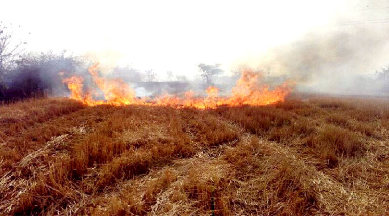 नरवाई न जलाएं, अपनाएं जैविक एवं प्राकृतिक खेती