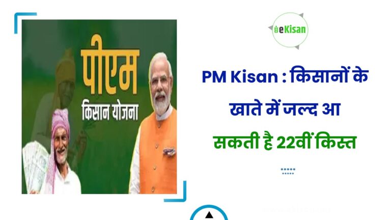 PM Kisan : किसानों के खाते में जल्द आ सकती है 22वीं किस्त