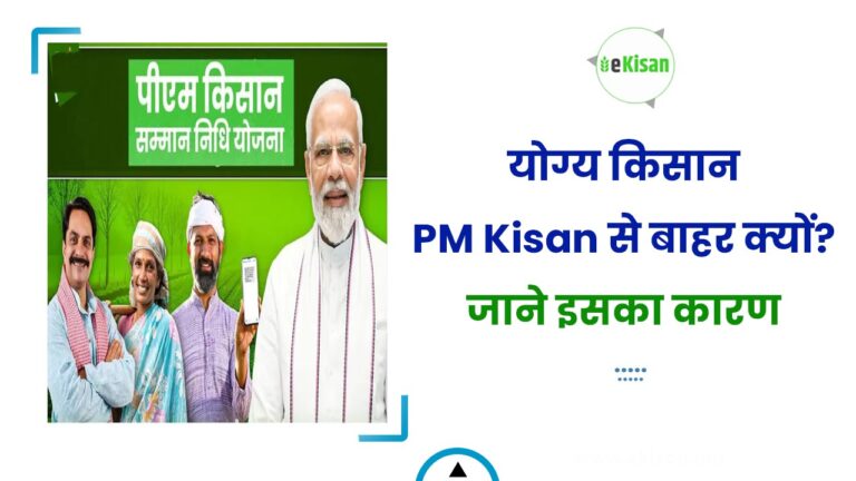 योग्य किसान PM Kisan से बाहर क्यों? जाने इसका कारण