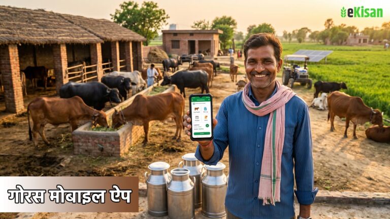 गोरस मोबाइल ऐप : पशुपालकों के लिए बहुपयोगी