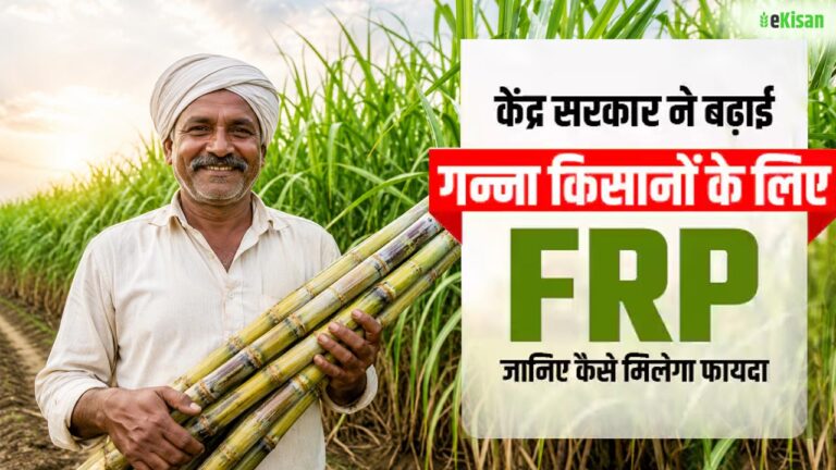 गन्ना किसानों के लिए बड़ी राहत: केंद्र सरकार ने बढ़ाया FRP, अब मिलेगा ₹365 प्रति क्विंटल