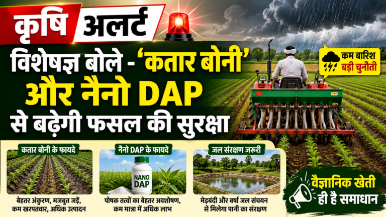कृषि अलर्ट : विशेषज्ञ बोले – ‘कतार बोनी’ और नैनो DAP से बढ़ेगी फसल की सुरक्षा